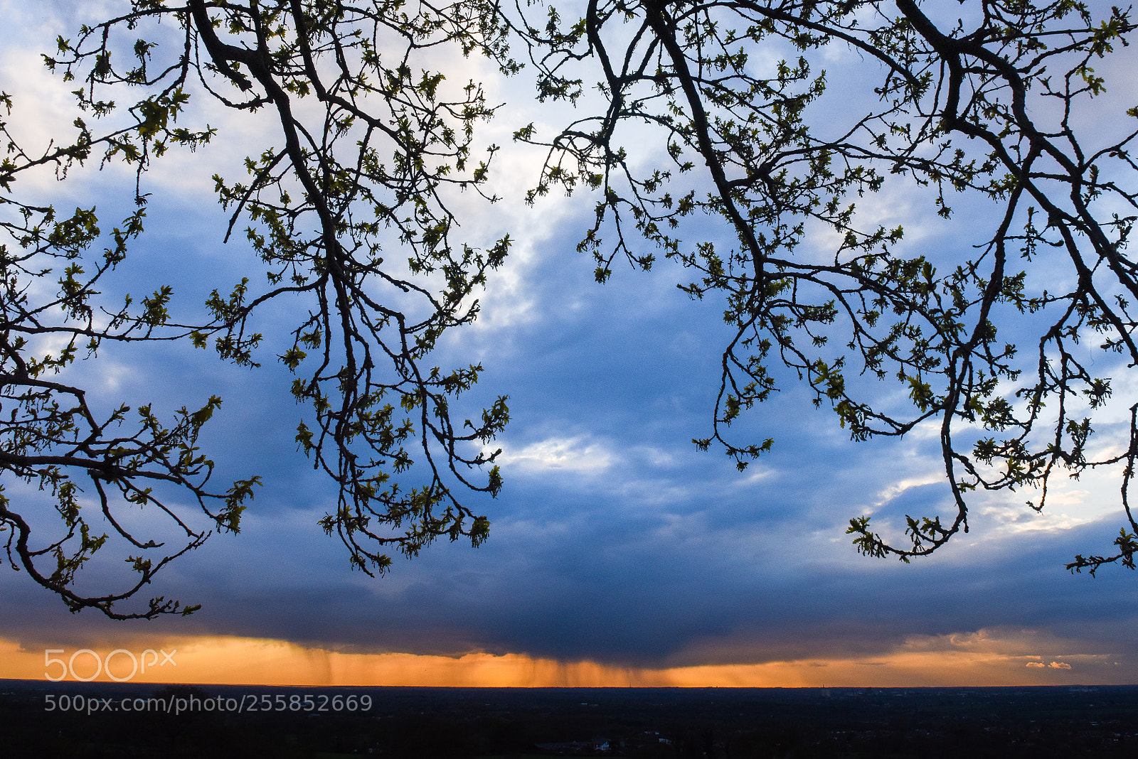 Nikon D810 sample photo. Evening rain shower photography