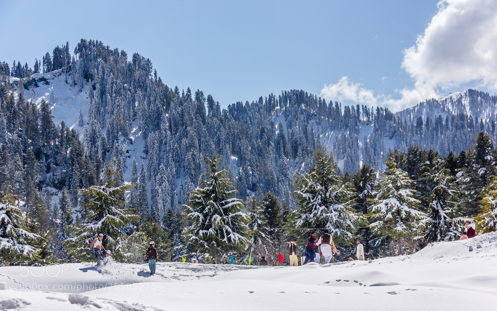 Canon EOS 550D (EOS Rebel T2i / EOS Kiss X4) sample photo. Malam jabba photography