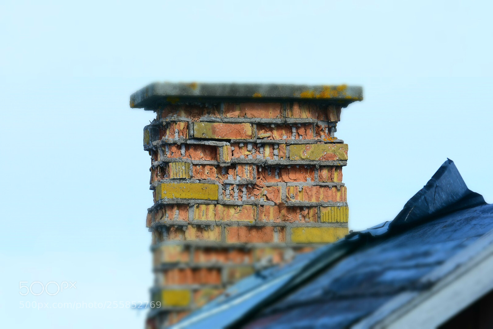 Nikon D7200 sample photo. Help me. photography
