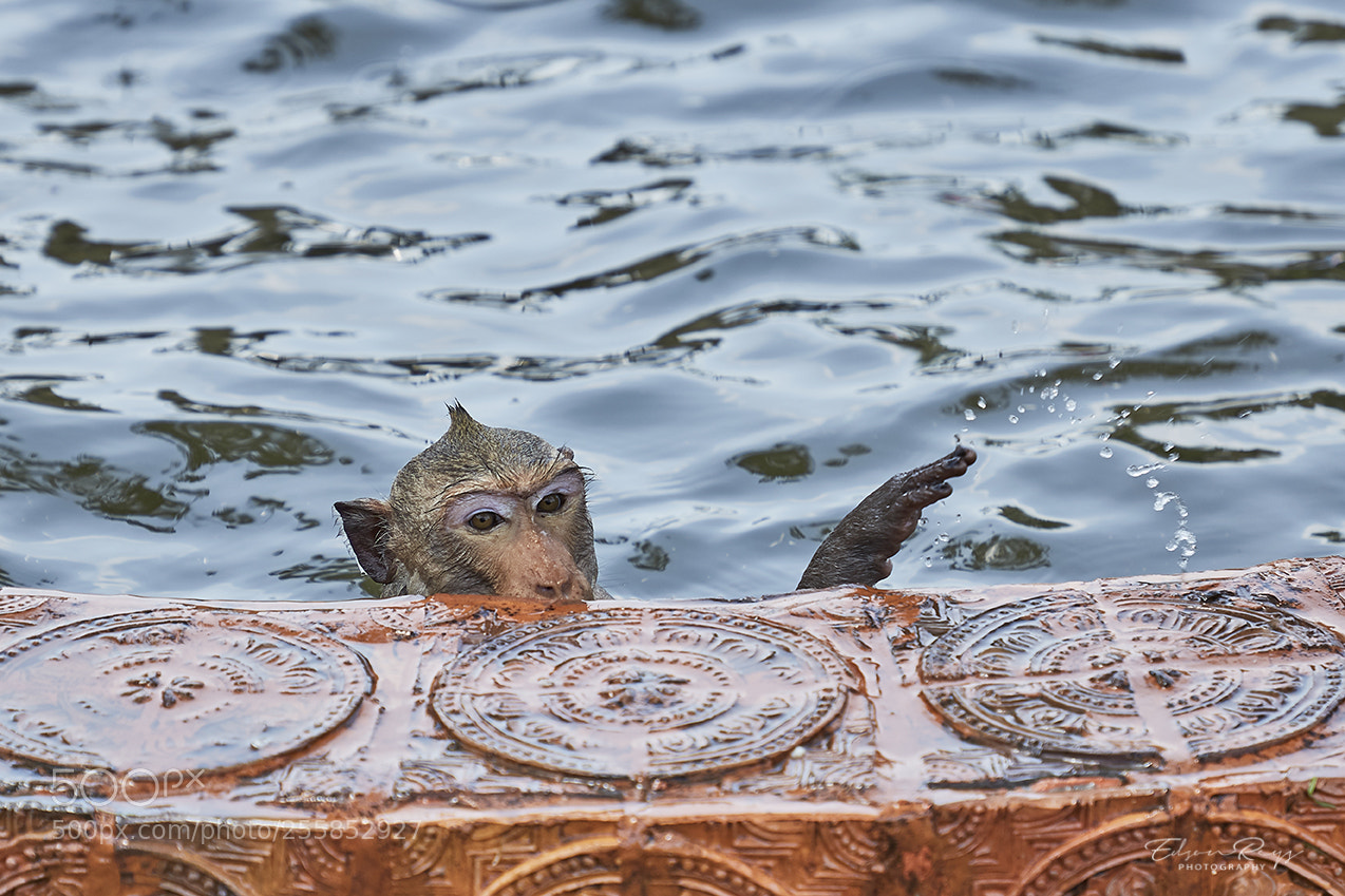 Canon EOS 6D sample photo. Refreshing photography
