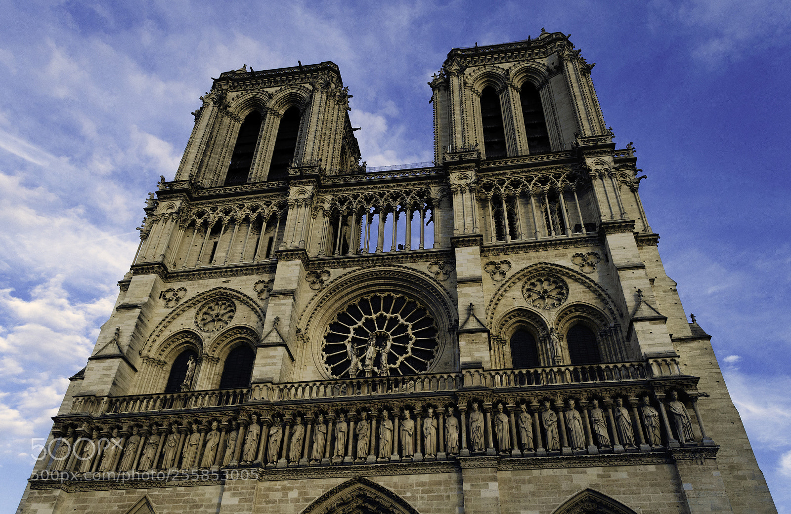 Nikon D5100 sample photo. Notre dame photography