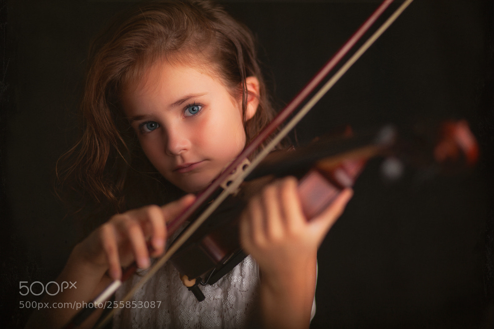 Canon EOS 5D Mark II sample photo. Violin photography
