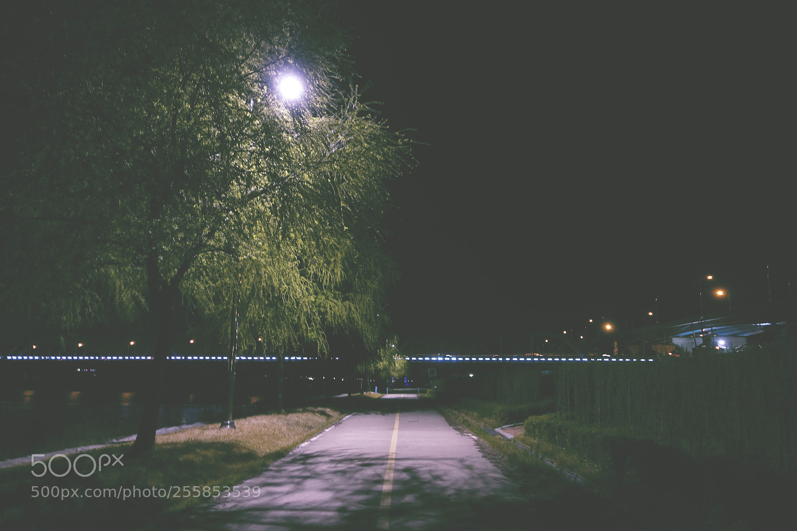 Sony Cyber-shot DSC-RX100 IV sample photo. Nakdong river bike trail photography