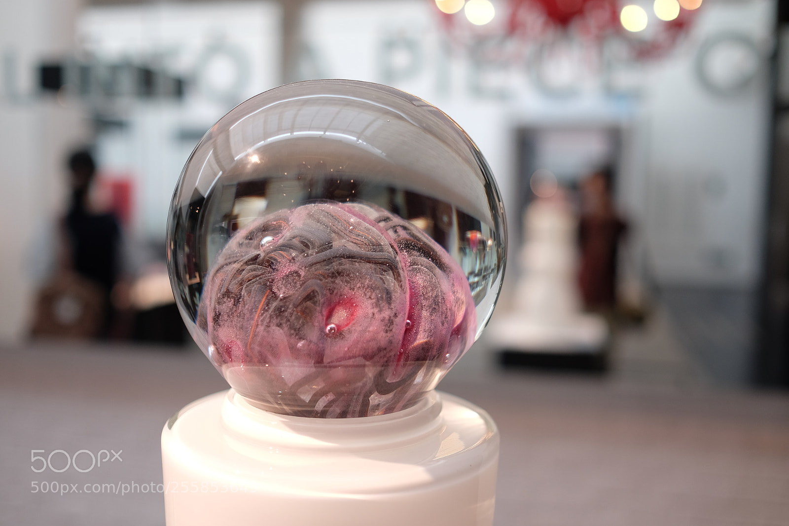 Fujifilm X-T1 sample photo. Untitled photography