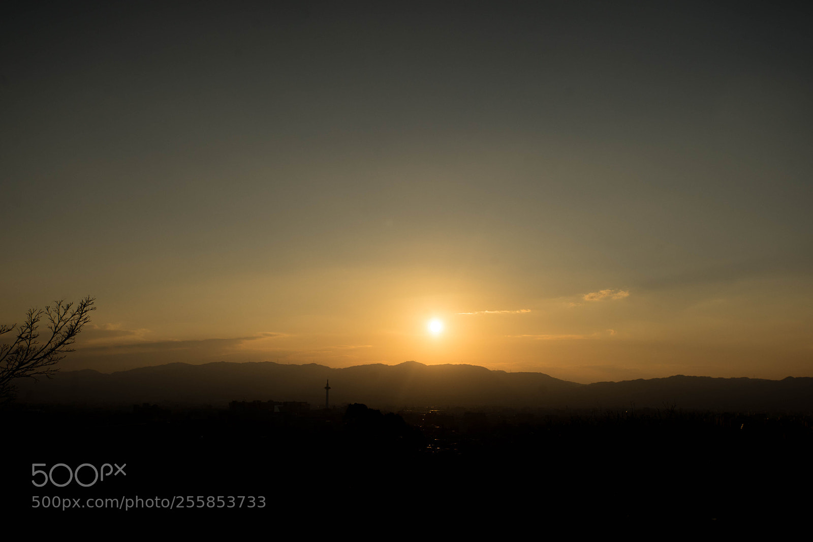 Sony a7 II sample photo. Dsc photography