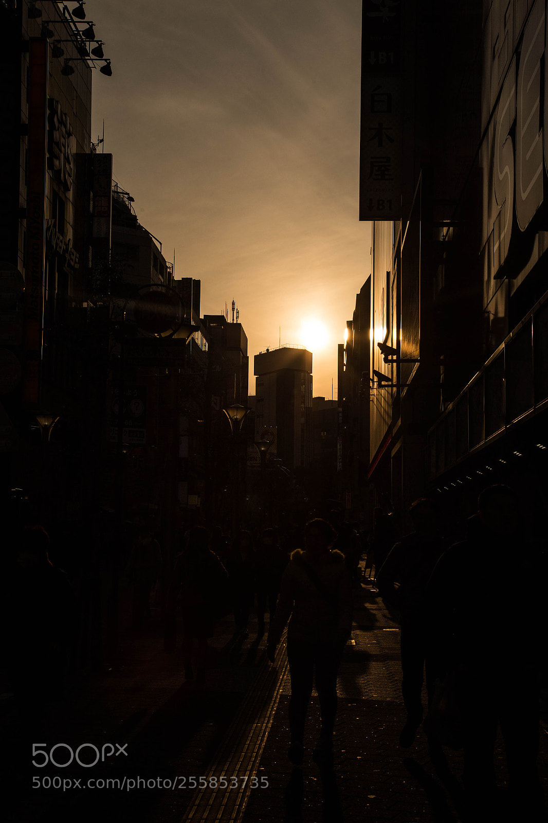 Canon EOS 6D sample photo. Mg photography