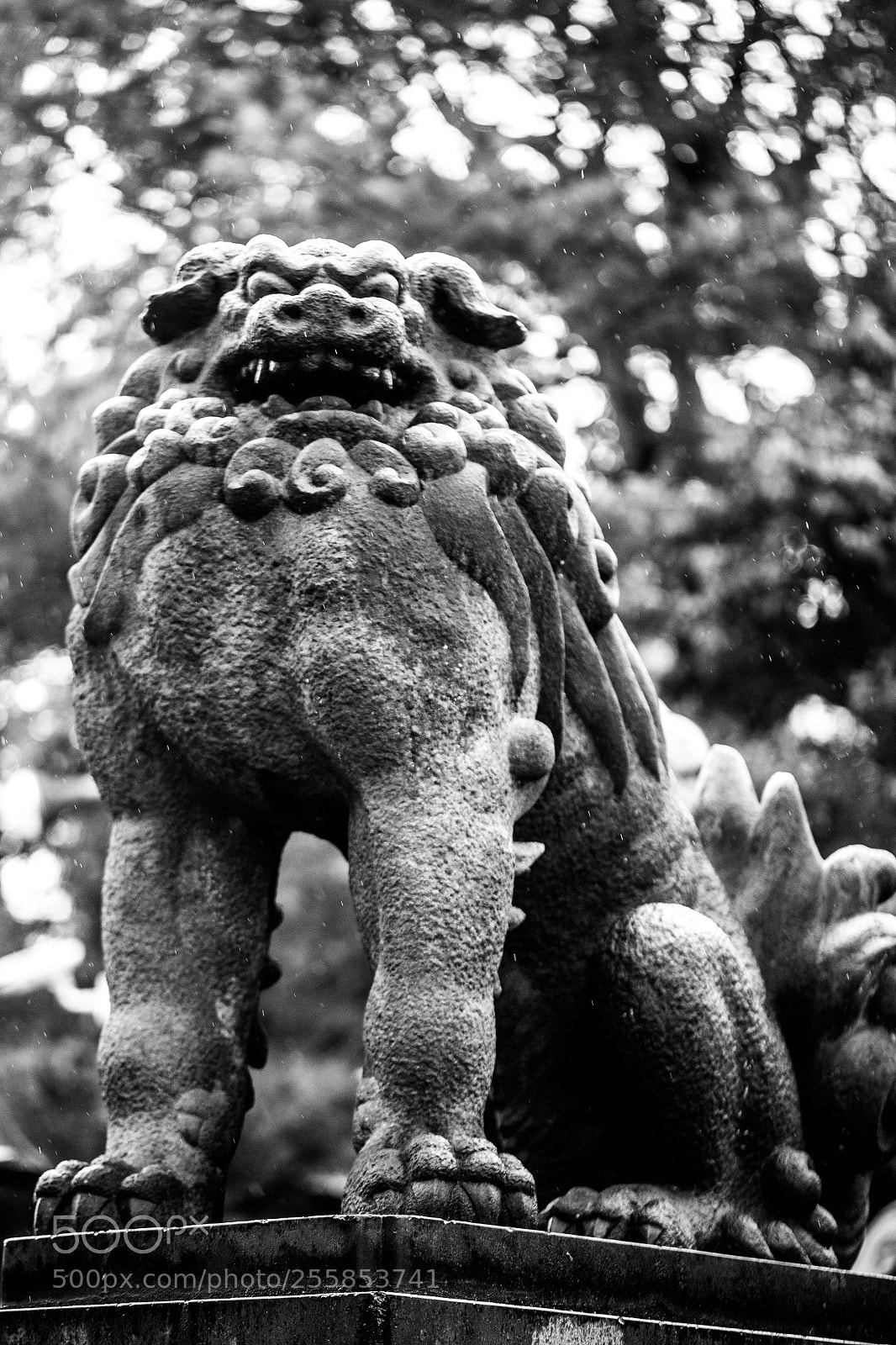 Canon EOS 6D sample photo. Mg photography