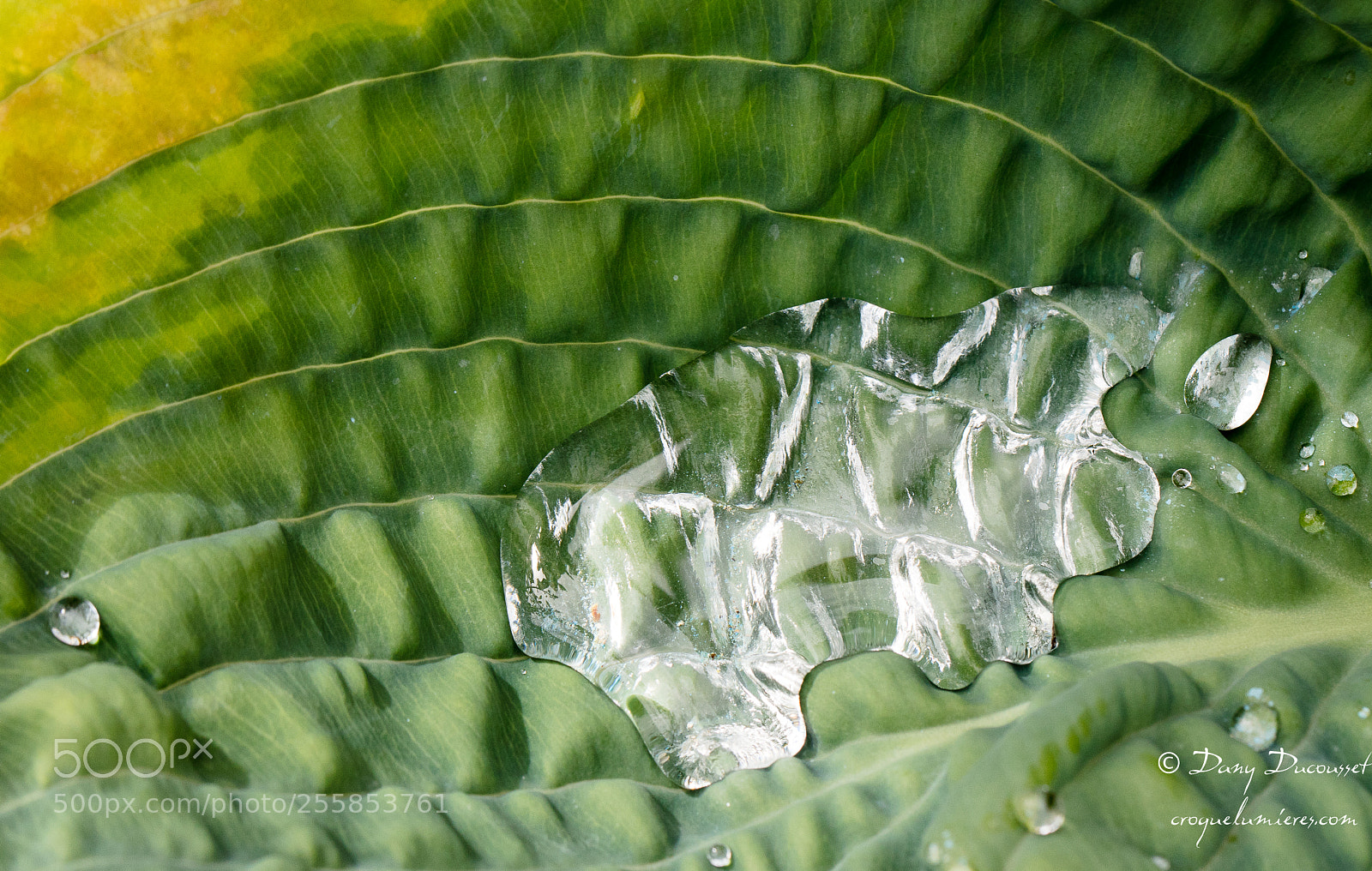 Canon EOS 5DS R sample photo. Imagination photography