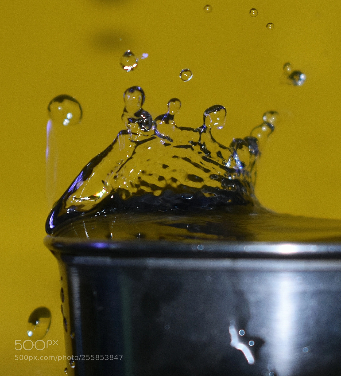 Nikon D3400 sample photo. Ripple drop photography