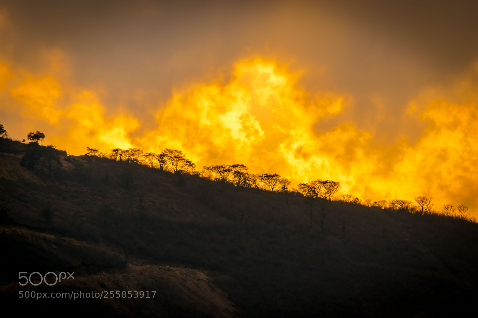 Nikon D3300 sample photo. Burning sky photography