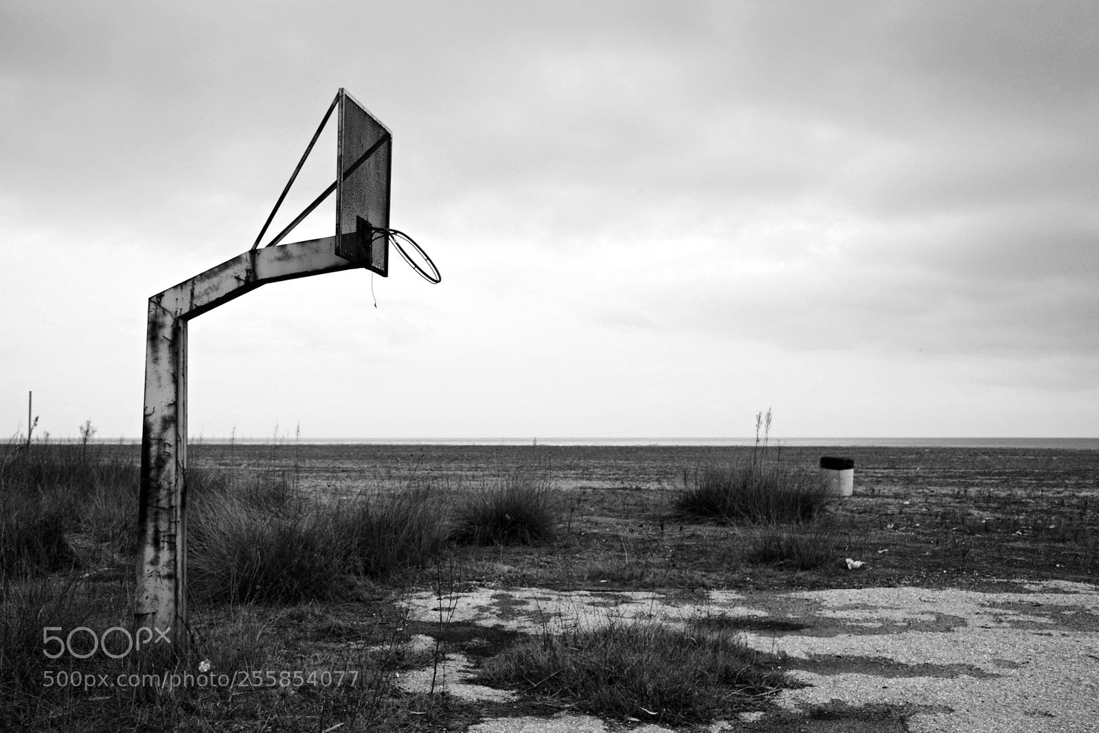 Nikon D7100 sample photo. #148 photography