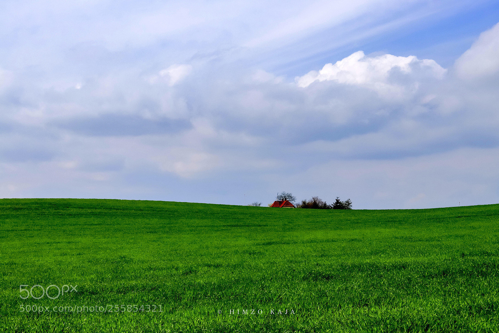 Canon EOS 80D sample photo. Green window photography