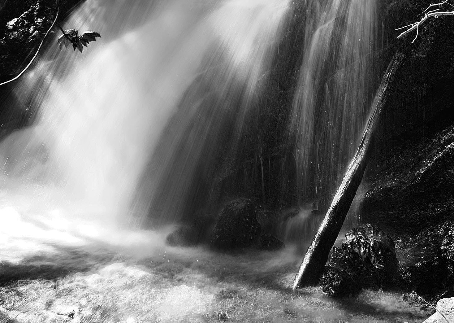 Sony ILCA-77M2 sample photo. At the foot of photography