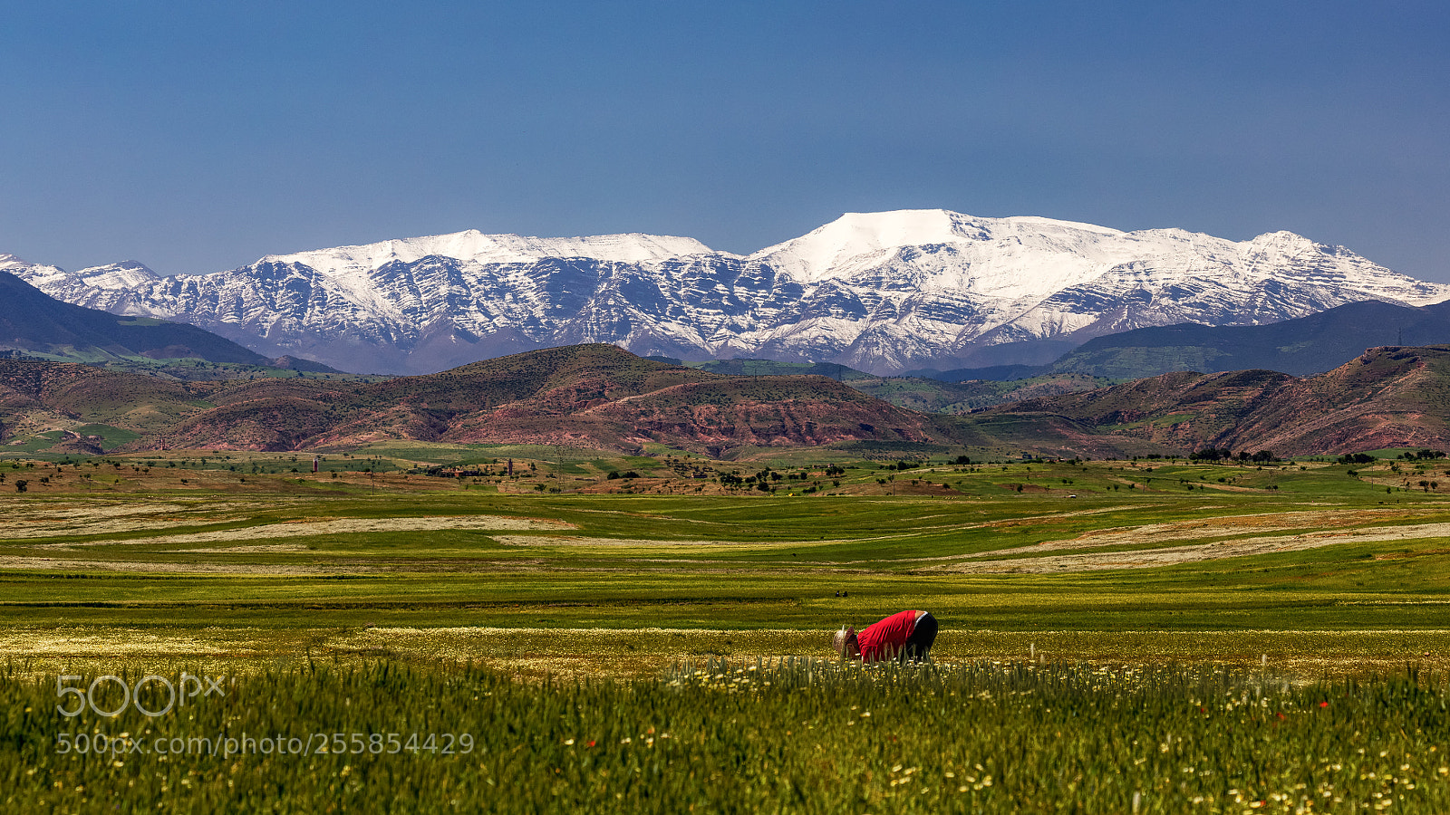 Canon EOS 5D Mark IV sample photo. High atlas photography