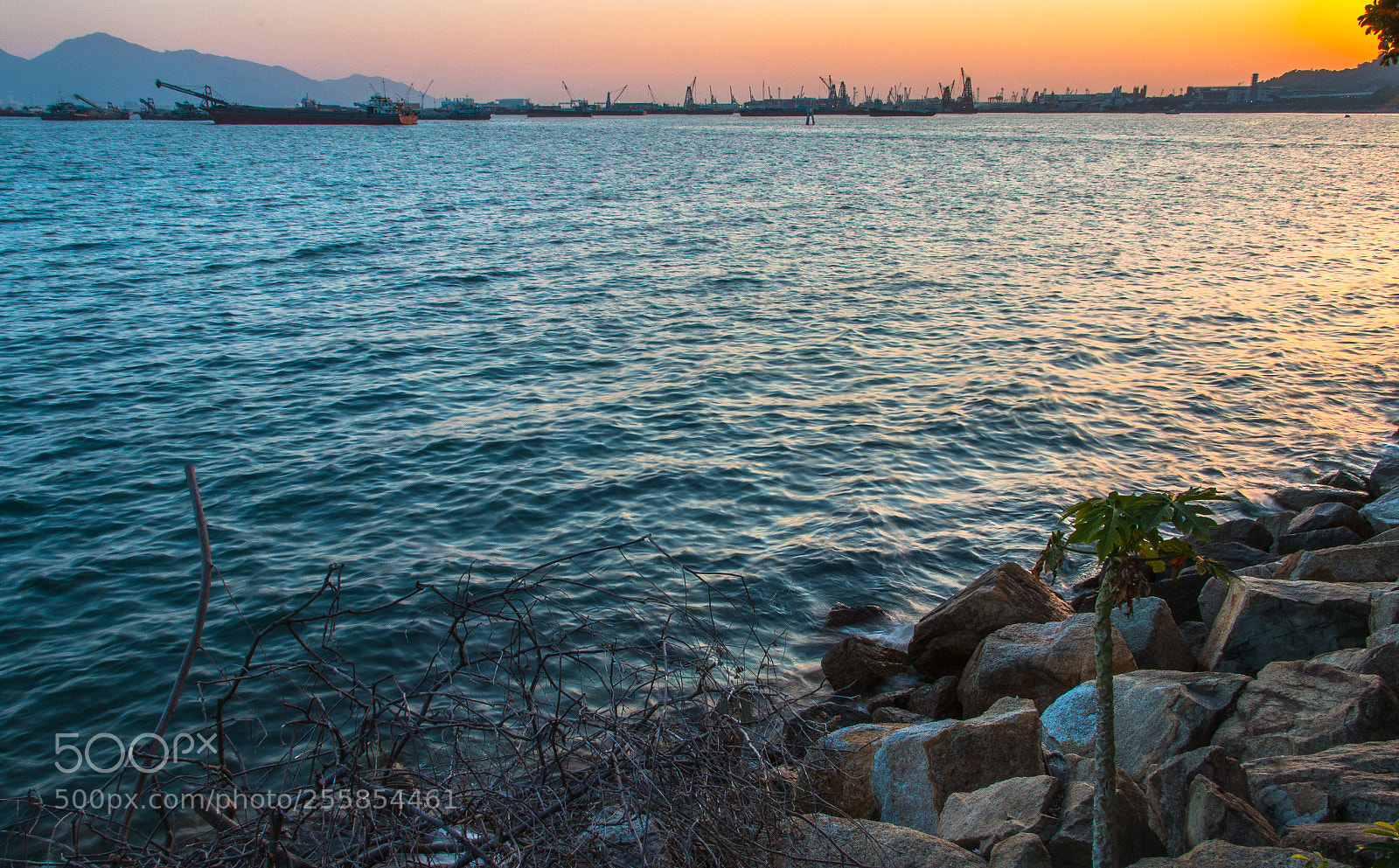 Canon EOS 70D sample photo. Img photography