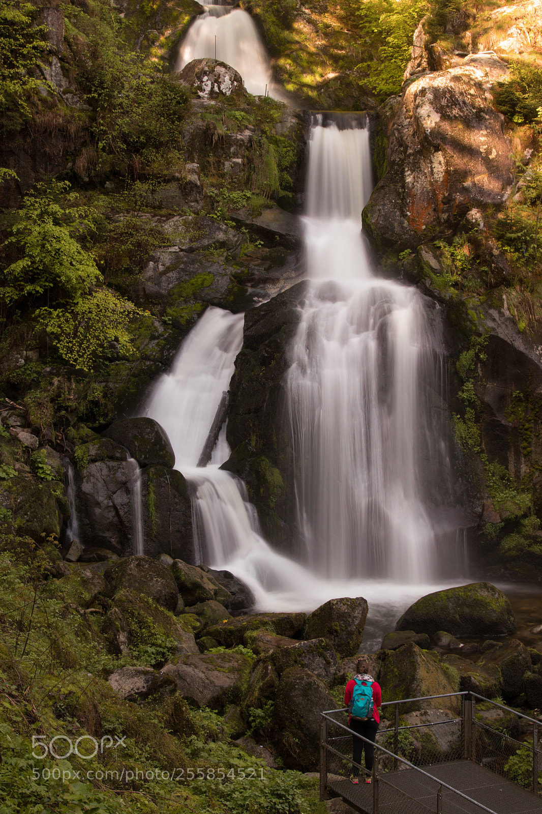 Canon EOS 77D (EOS 9000D / EOS 770D) sample photo. Triberg wasserfall photography