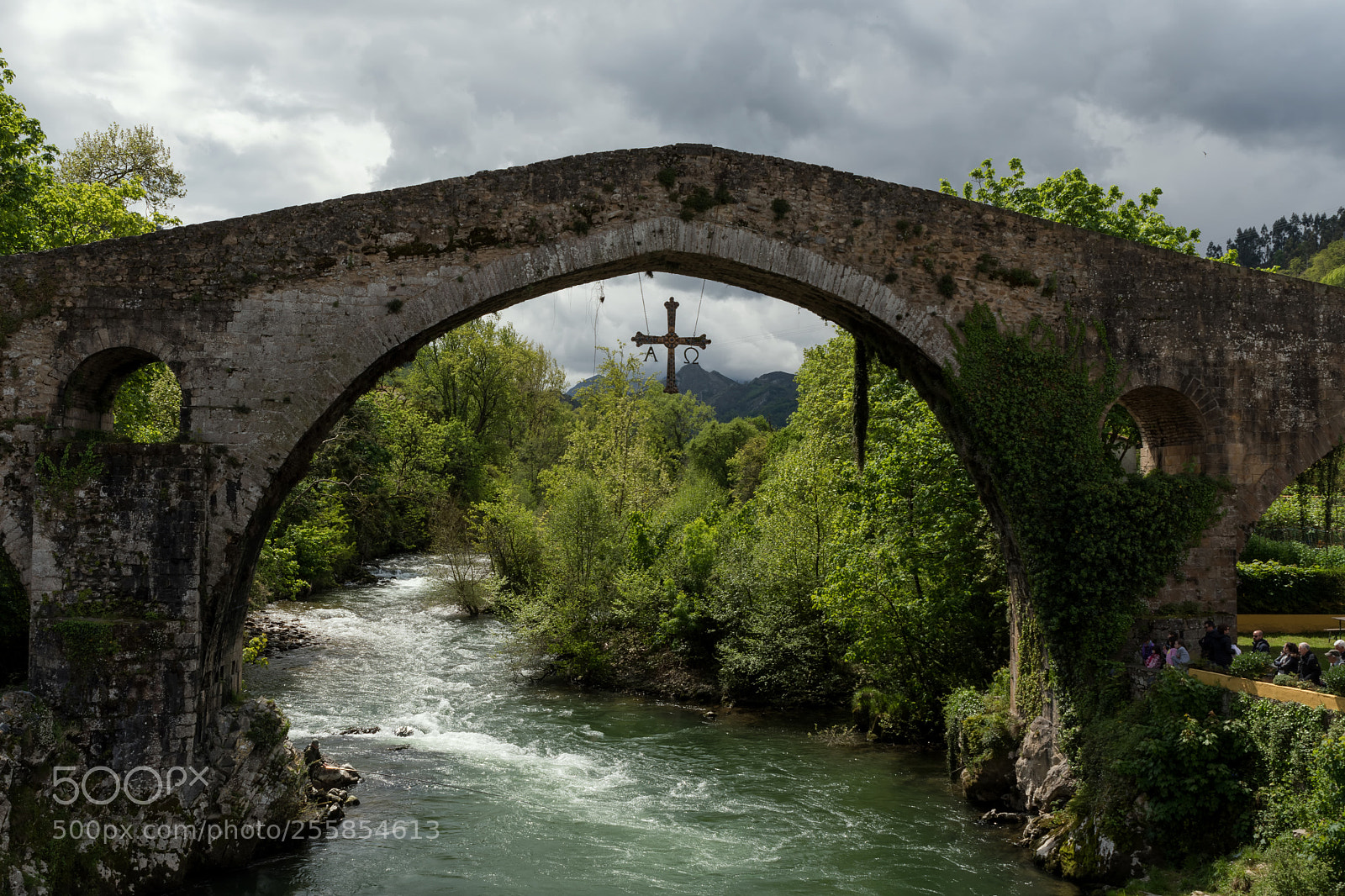 Nikon D500 sample photo. Cangas de onís photography
