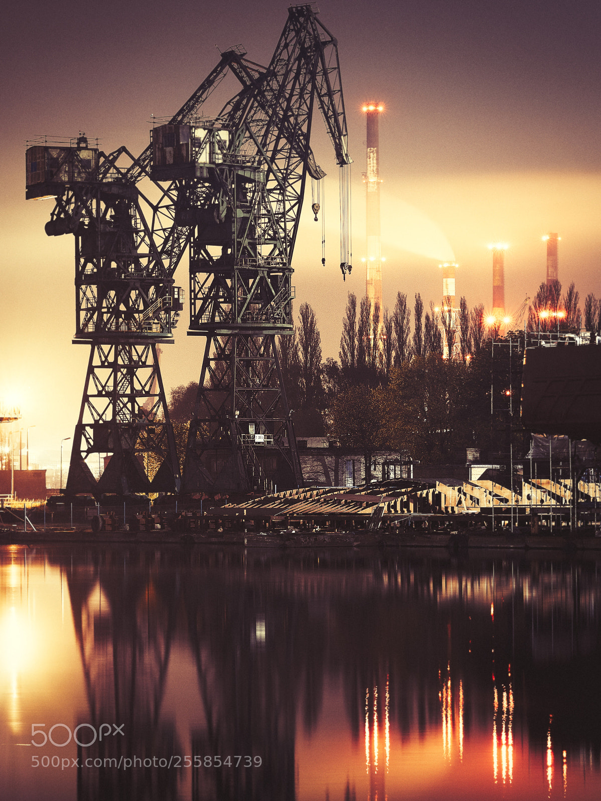 Olympus OM-D E-M5 II sample photo. Two cranes photography