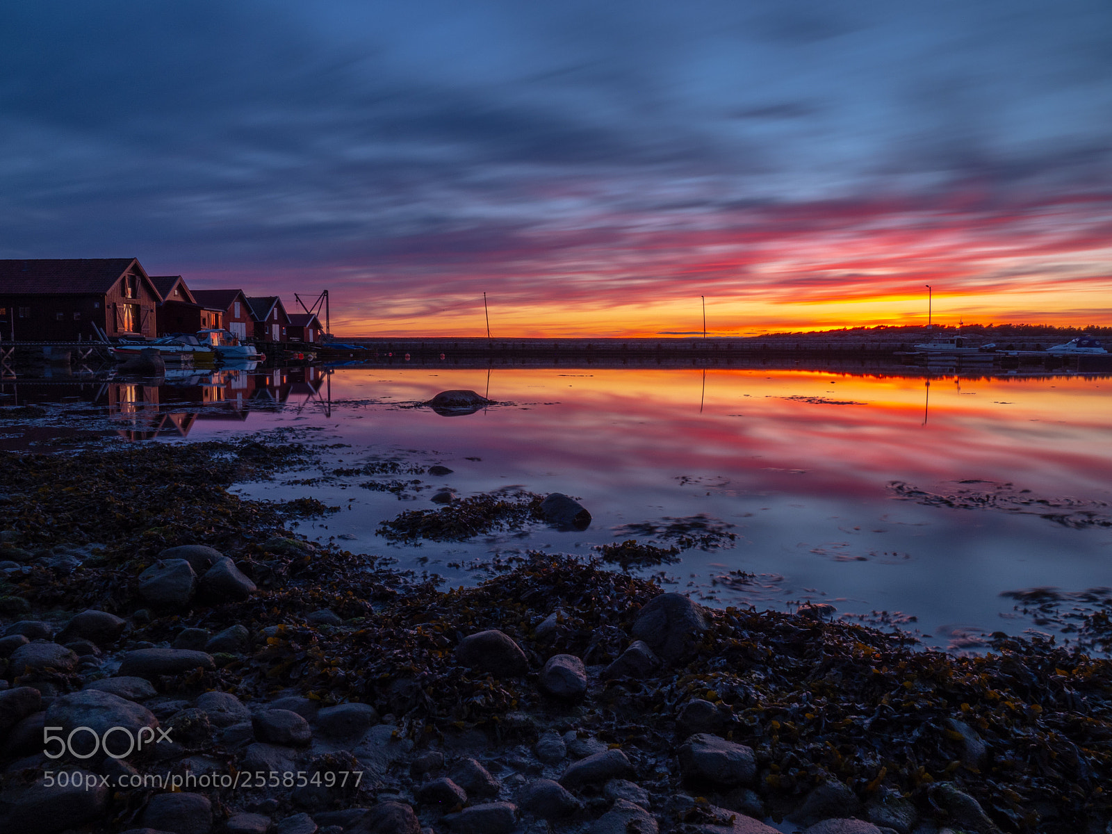 Olympus OM-D E-M1 Mark II sample photo. Hvaler, norway photography