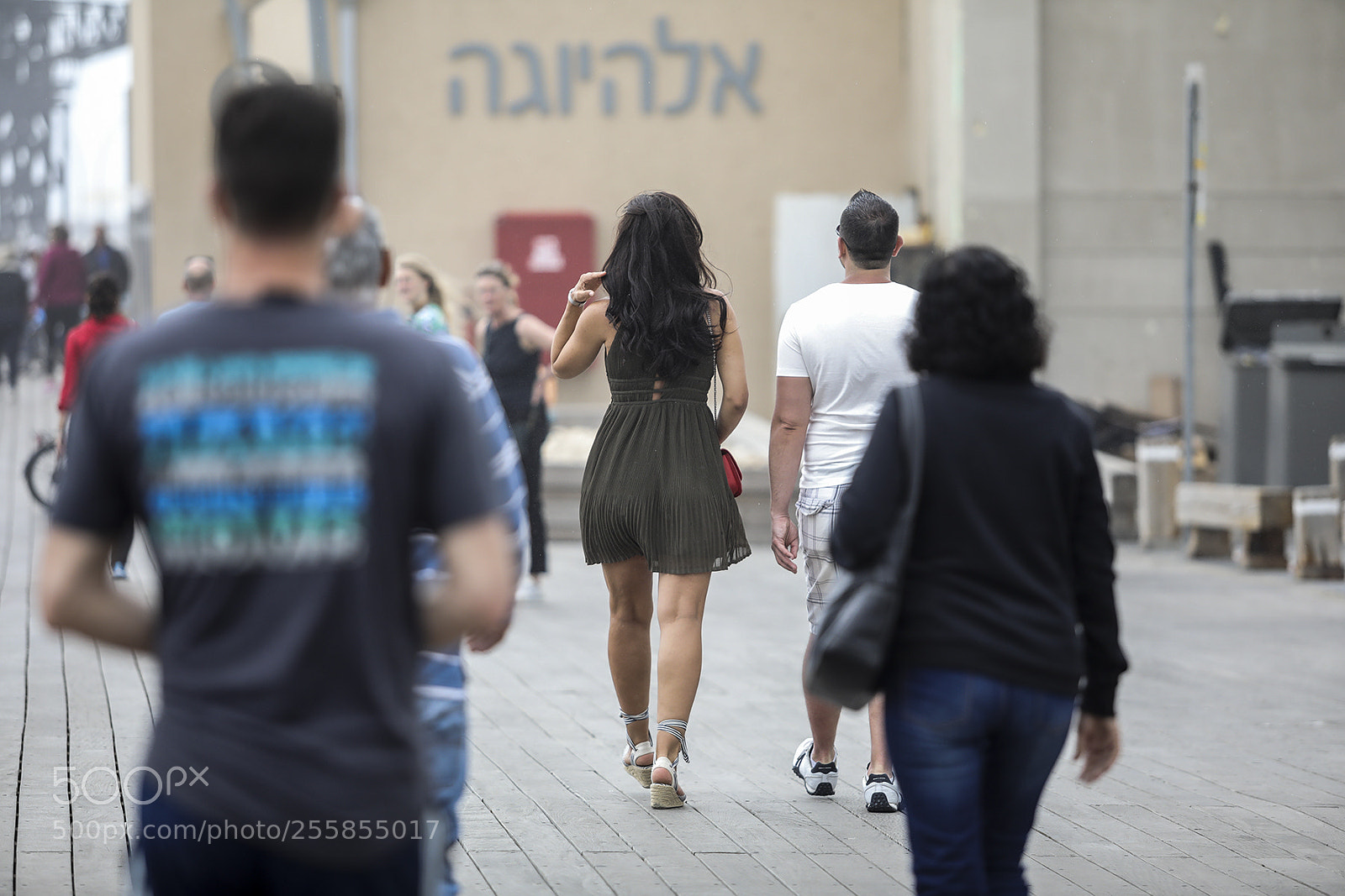 Canon EOS 5D Mark IV sample photo. She is... photography