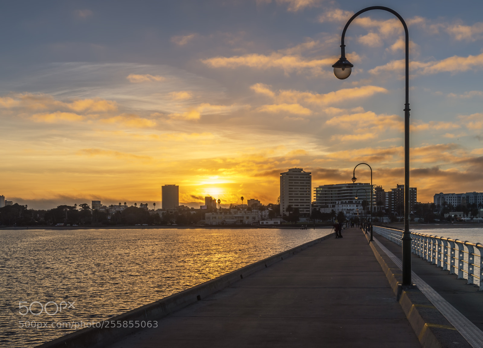 Nikon D5 sample photo. St.kilda's pier photography