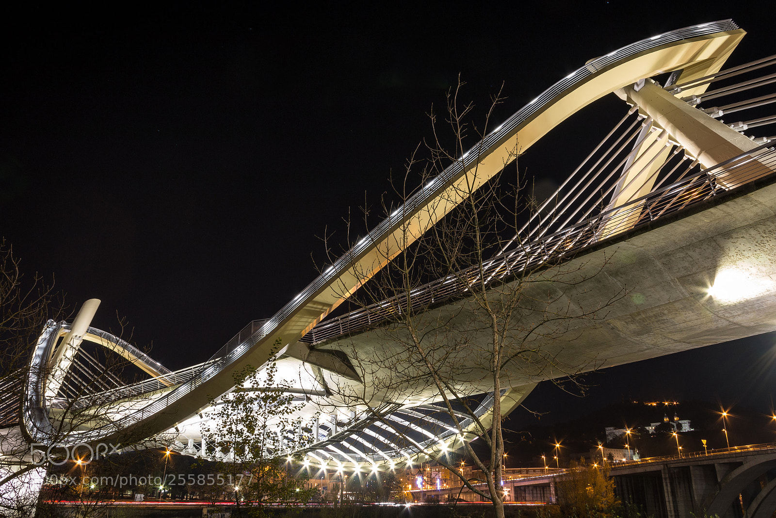 Canon EOS 70D sample photo. Ponte do milenio photography