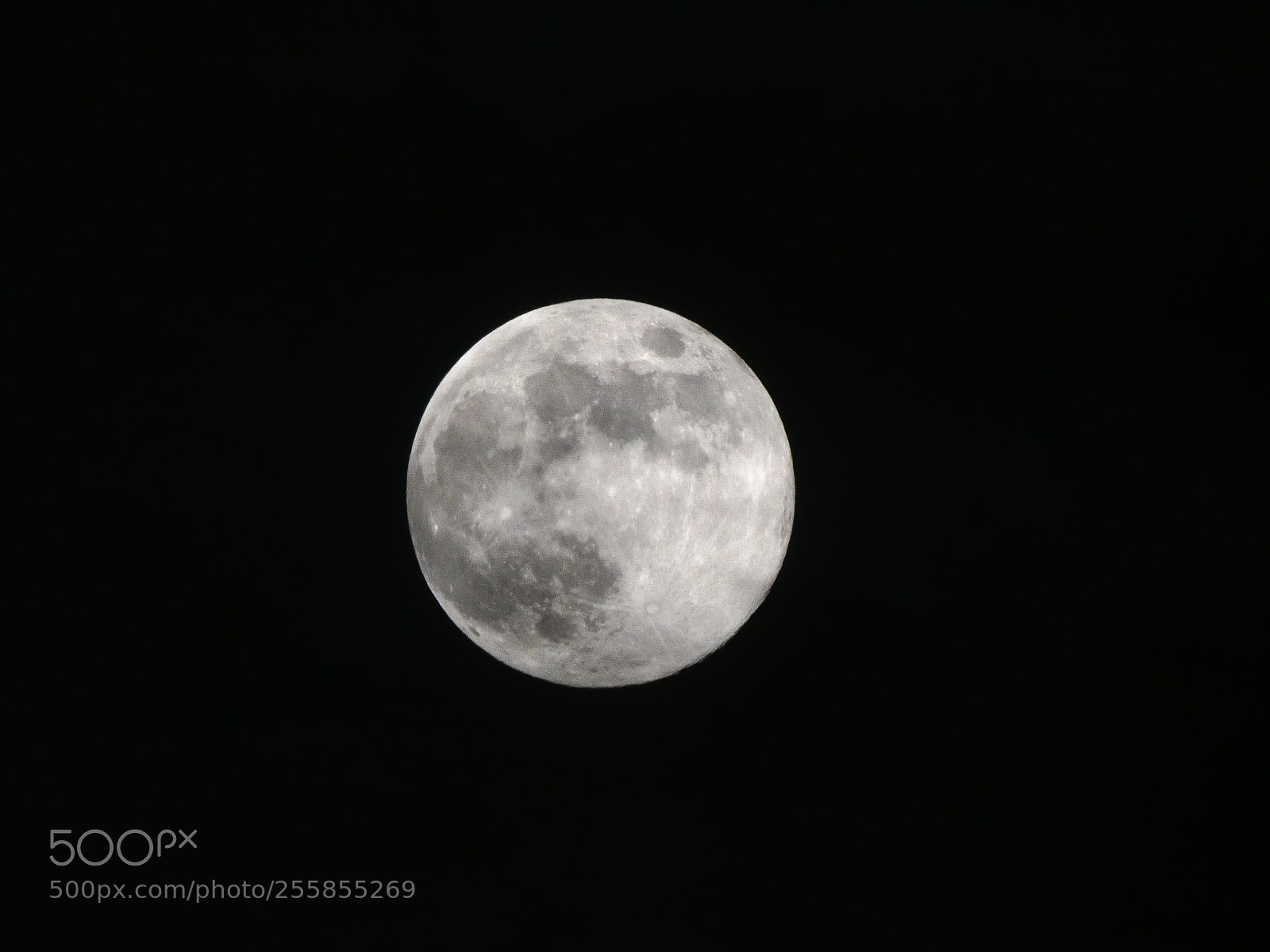 Panasonic Lumix DC-FZ80 (Lumix DC-FZ82) sample photo. Dame lune photography