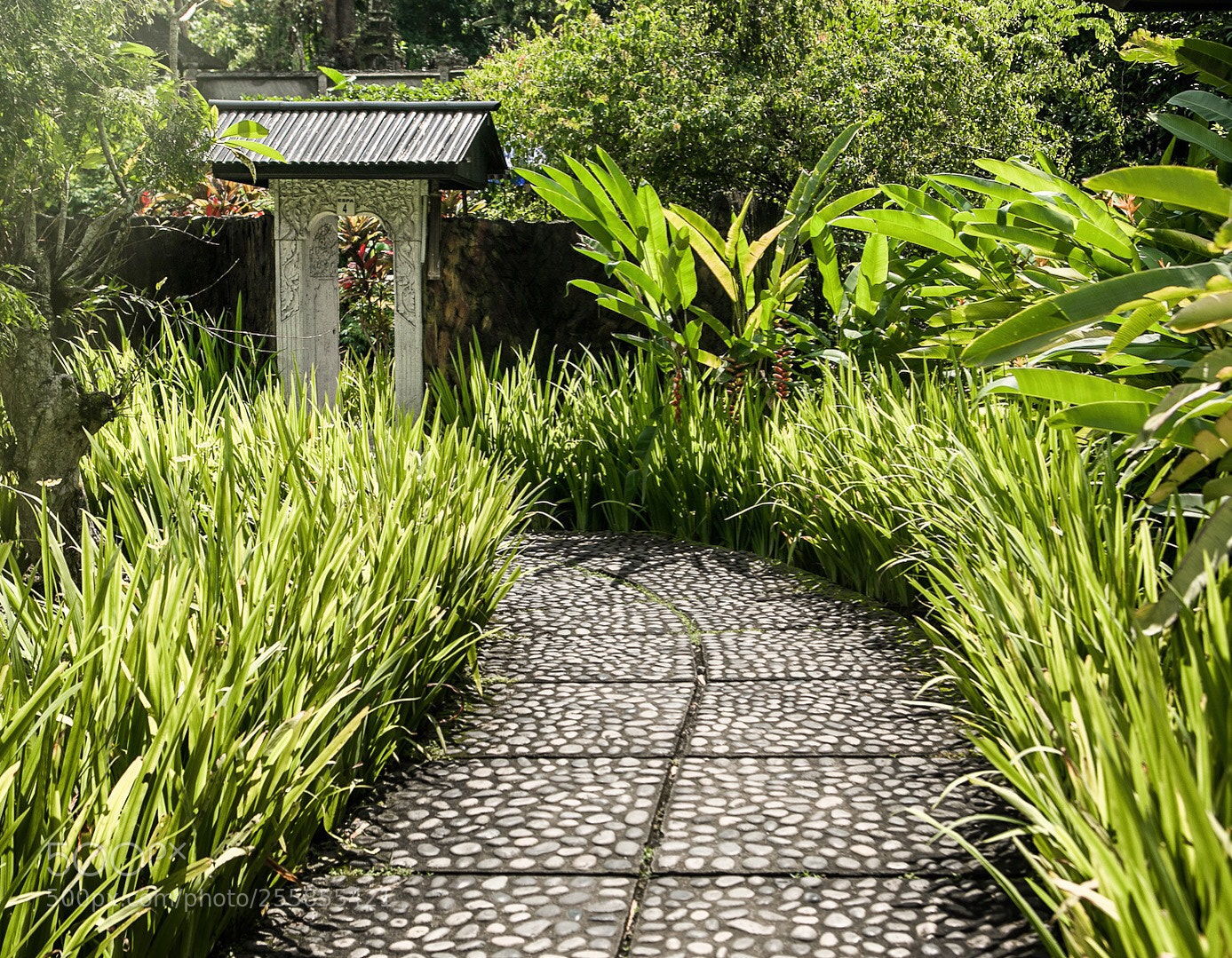 Canon EOS 5D Mark IV sample photo. A path - bali photography