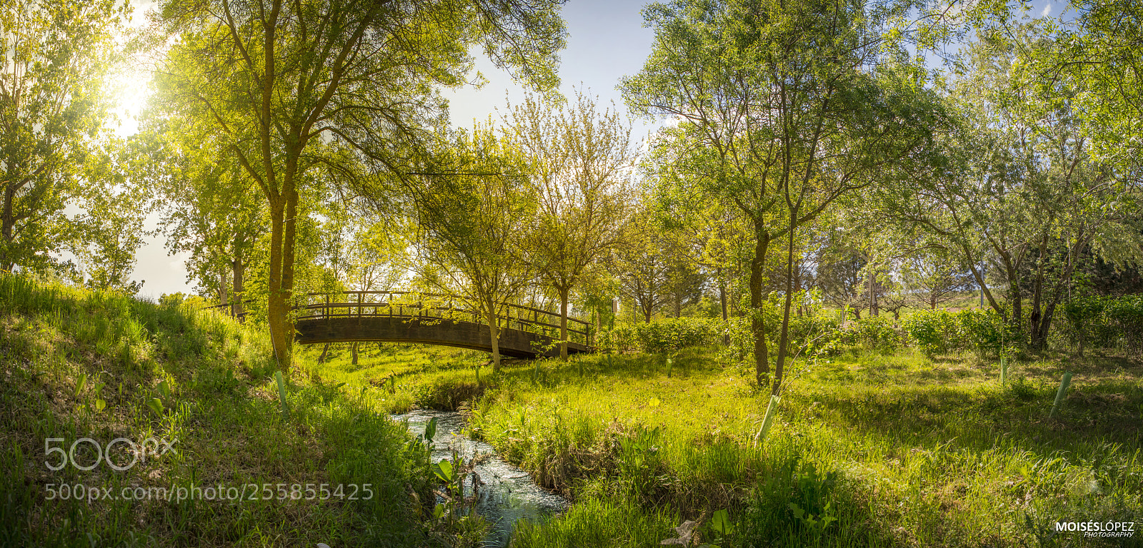 Canon EOS 80D sample photo. Natural park photography