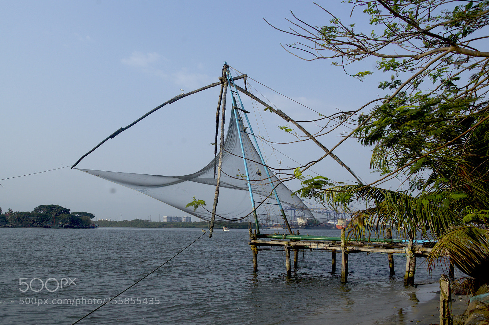 Sony Alpha DSLR-A850 sample photo. Traditional fishing methods,fort kochi photography