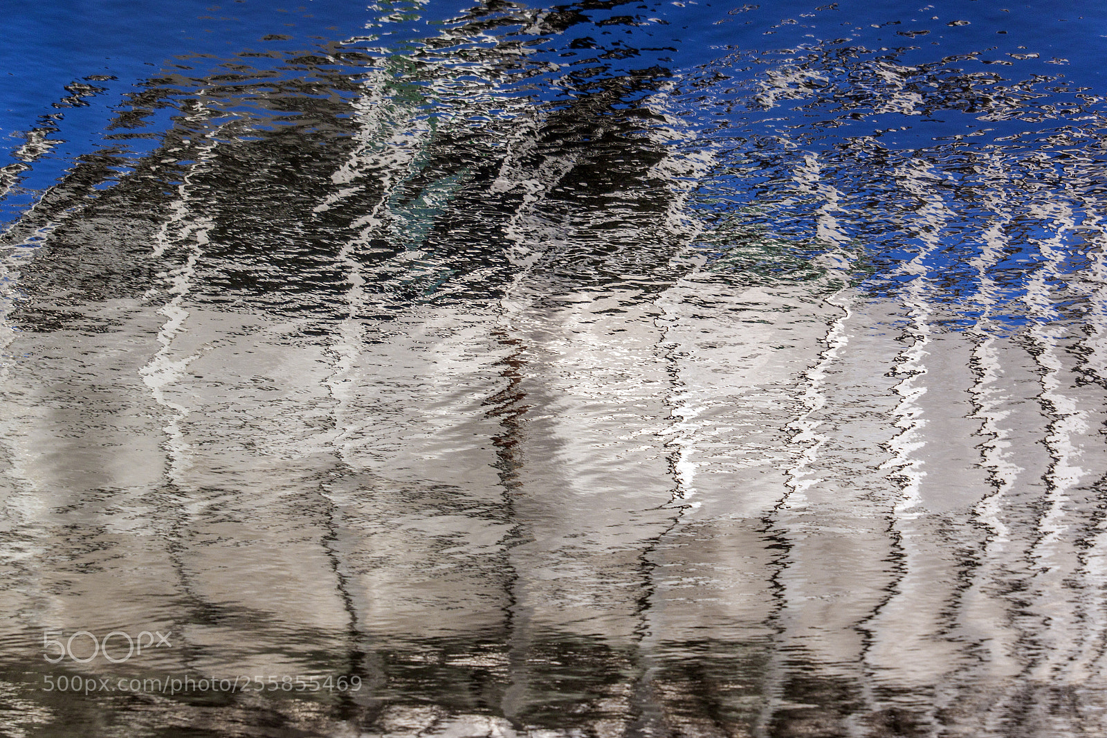 Canon EOS 500D (EOS Rebel T1i / EOS Kiss X3) sample photo. Webb bridge reflection 2 photography