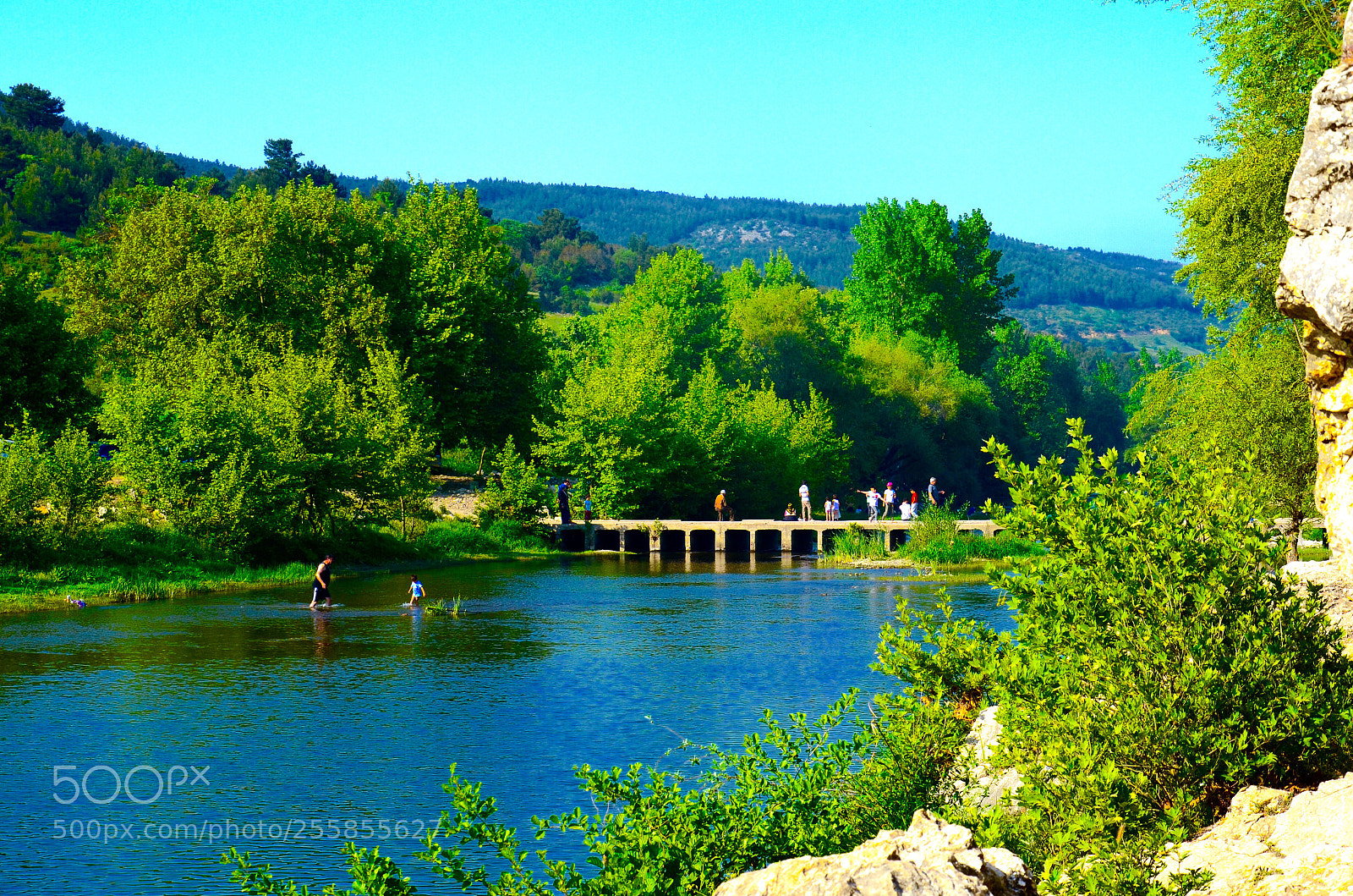 Nikon D5100 sample photo. Untitled photography