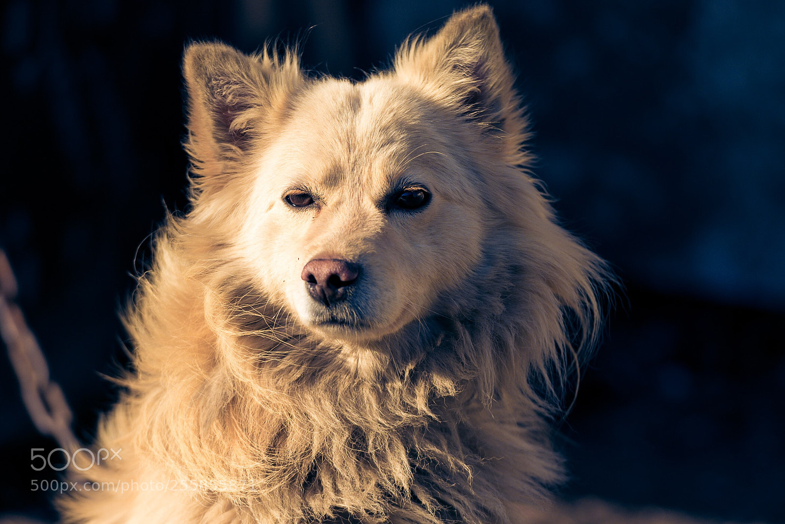 Nikon D610 sample photo. Untitled photography