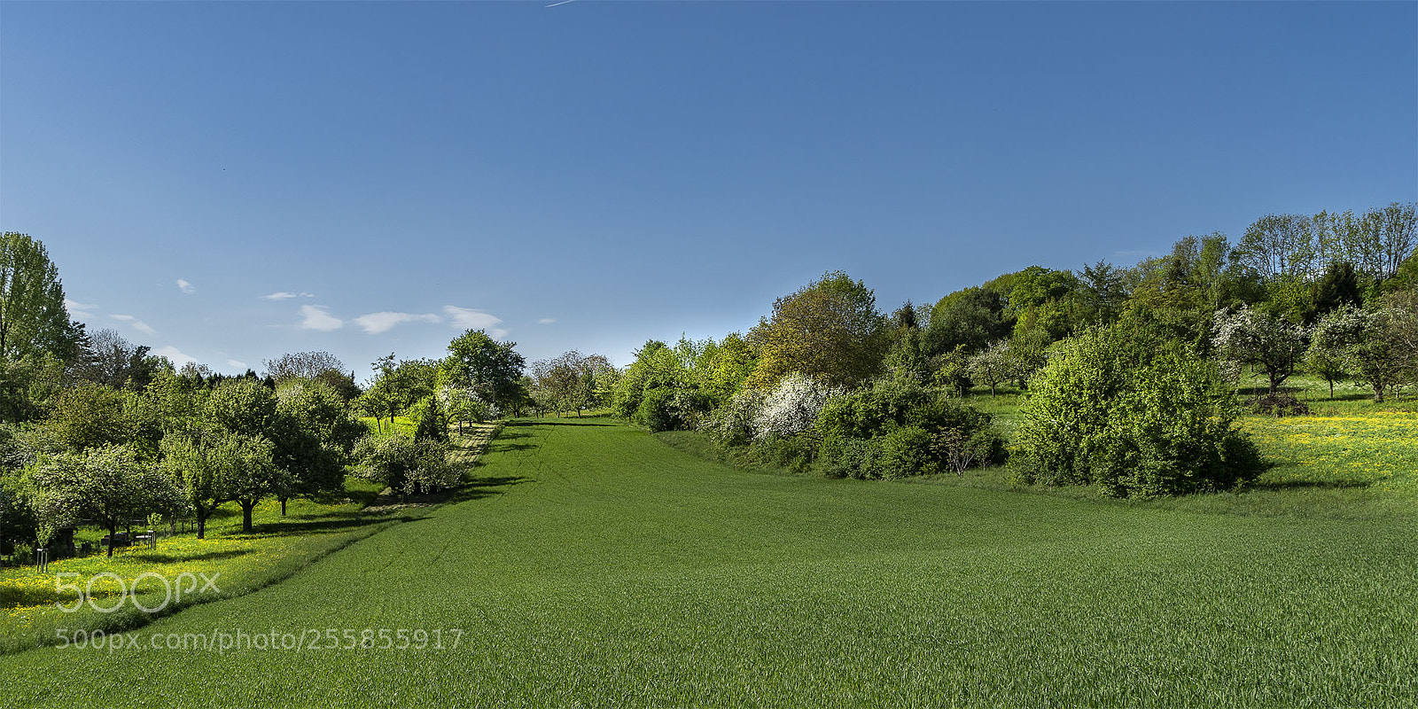 Sony a6300 sample photo. Eningen 290418-036 photography