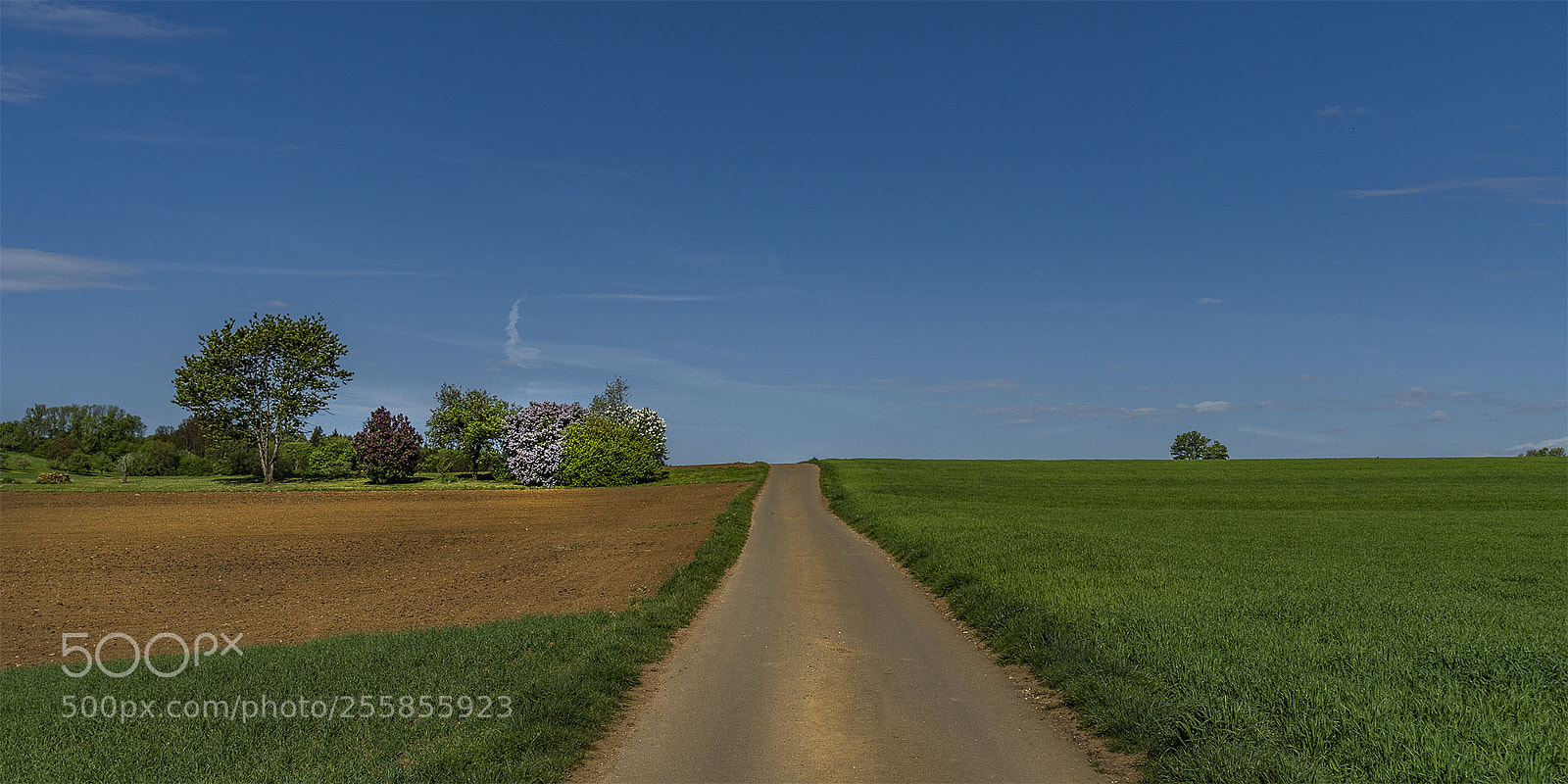 Sony a6300 sample photo. Eningen 290418-040 photography