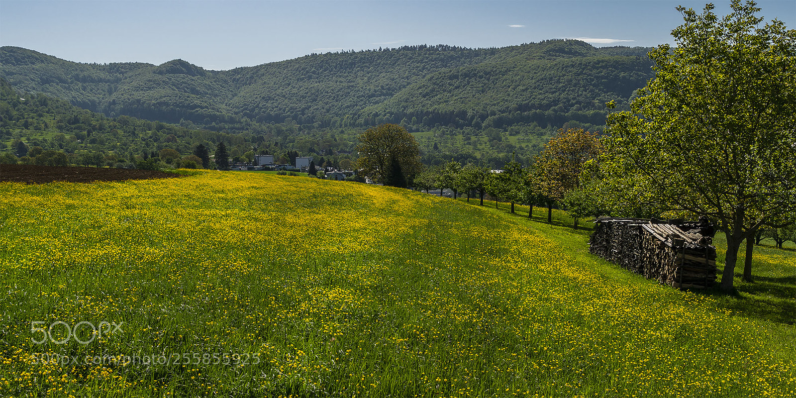 Sony a6300 sample photo. Eningen 290418-038 photography