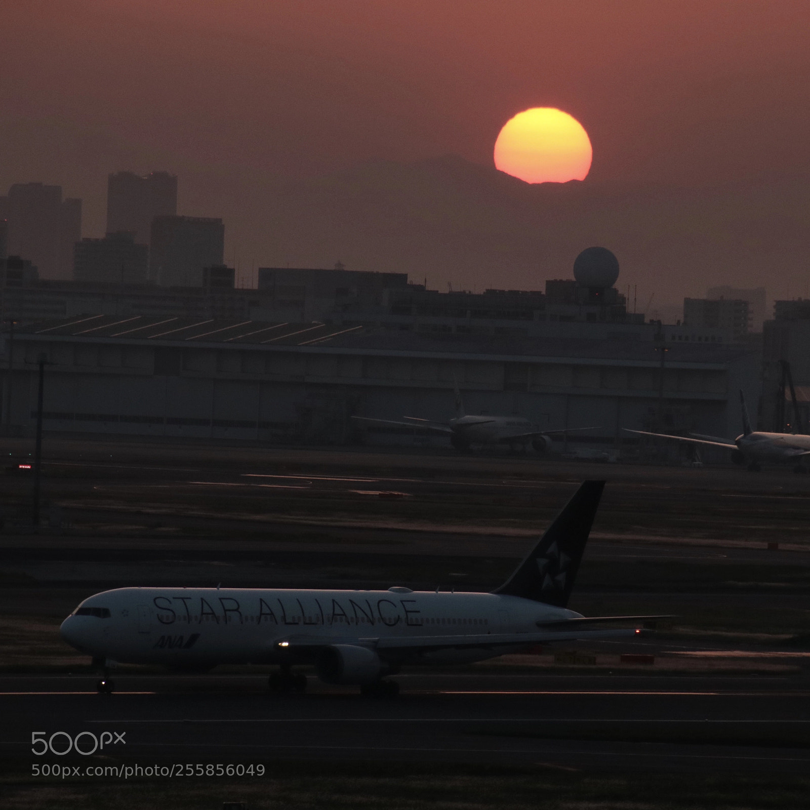 Canon EOS 80D sample photo. Haneda airport photography