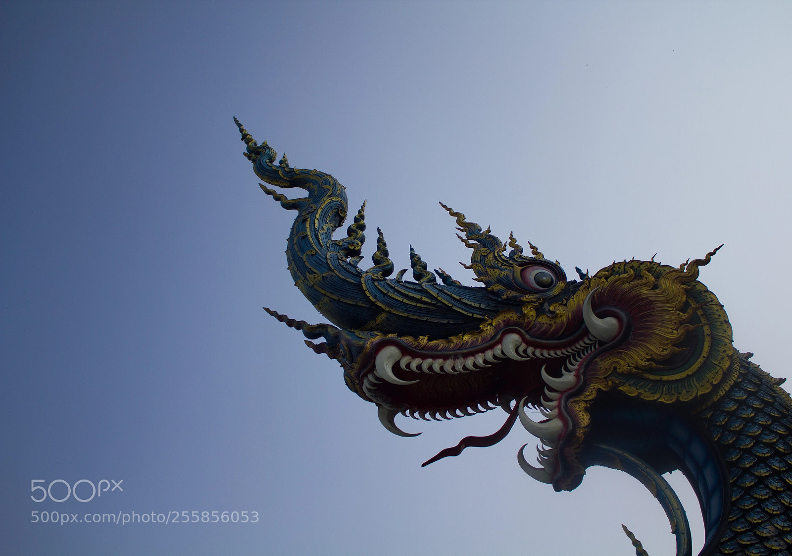 Canon EOS 550D (EOS Rebel T2i / EOS Kiss X4) sample photo. Color dragon photography