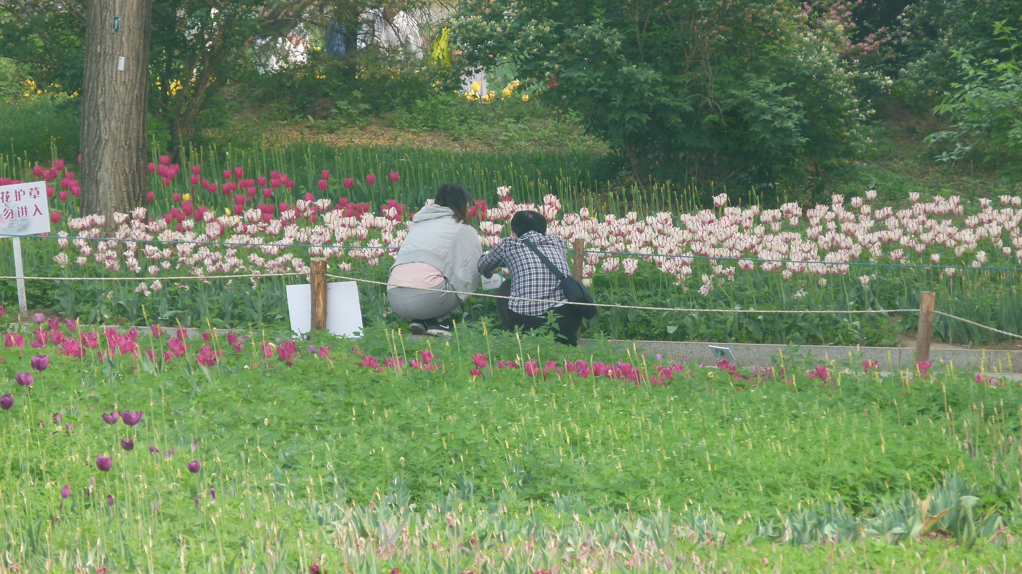 Leica V-Lux 2 sample photo