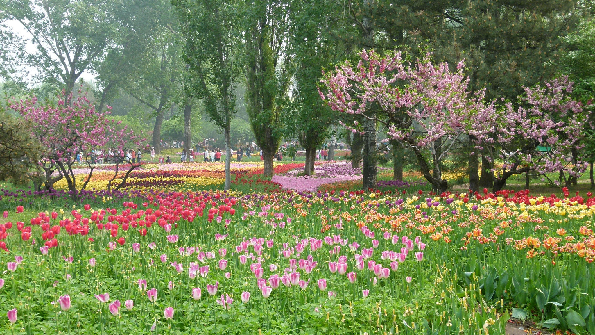 Leica V-Lux 2 sample photo
