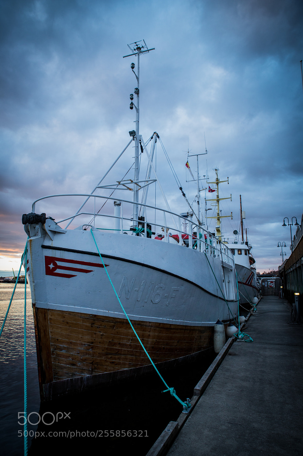 Canon EOS 6D Mark II sample photo. Sea life in norway photography