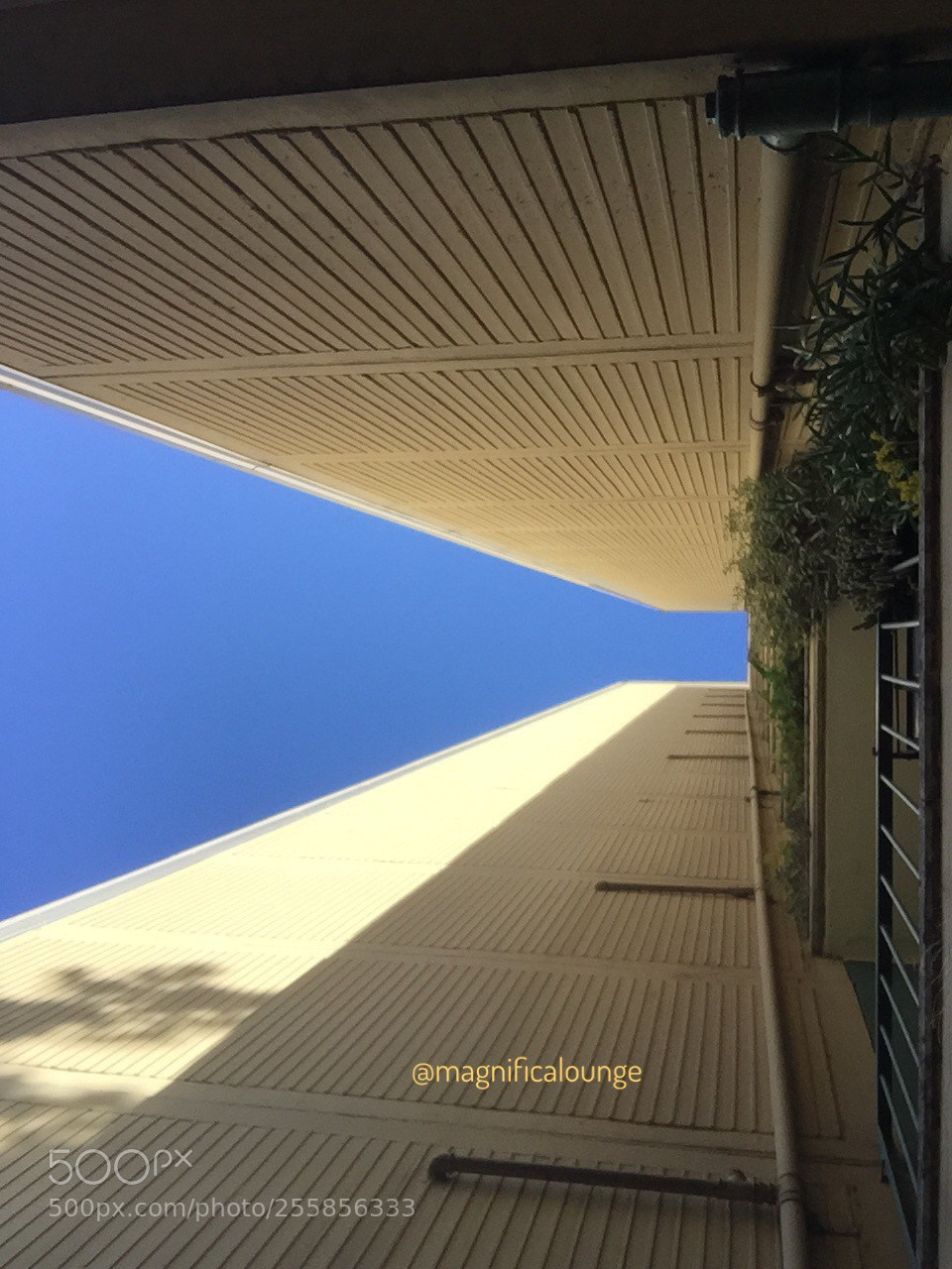 Apple iPhone 6 Plus sample photo. Into the blue photography