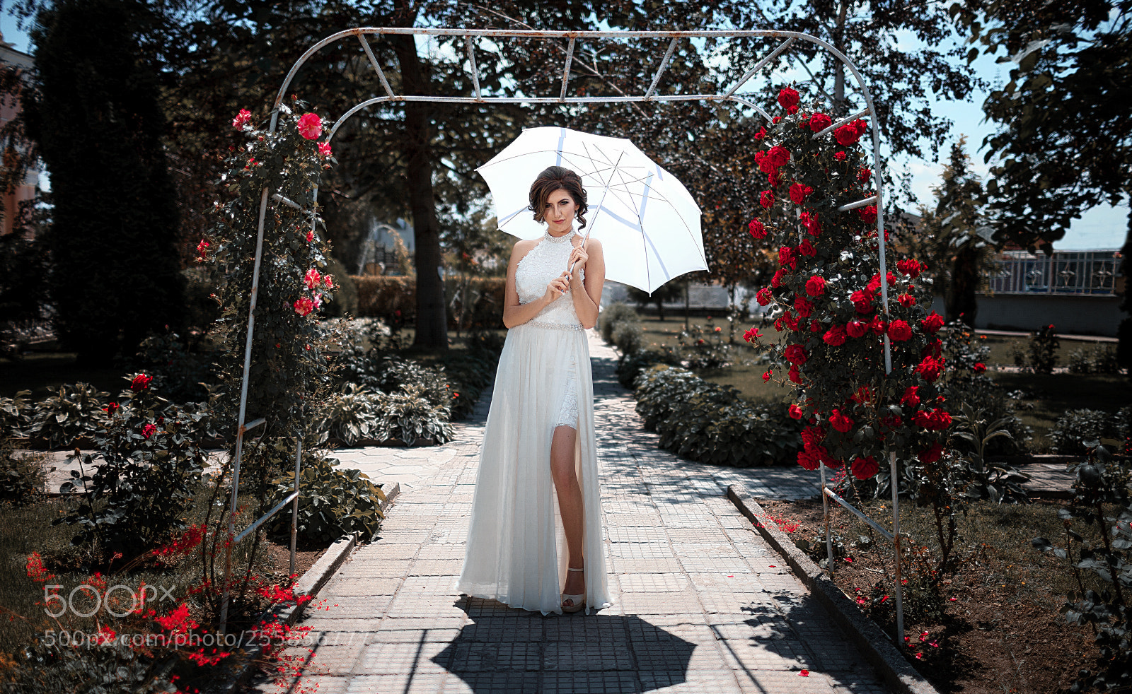 Canon EOS 5D Mark II sample photo. Thoughts in white photography