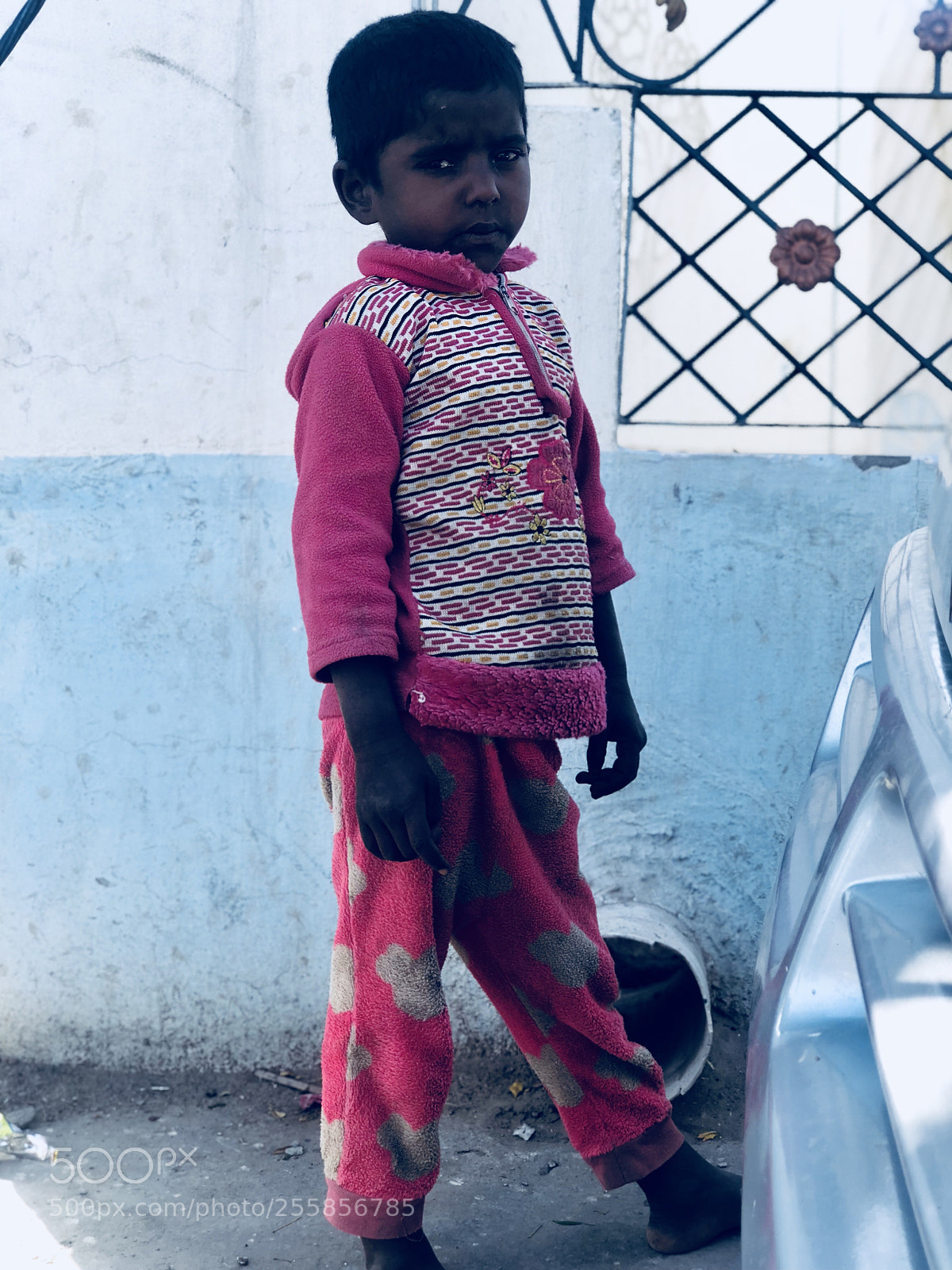 Apple iPhone 8 Plus sample photo. Untitled photography