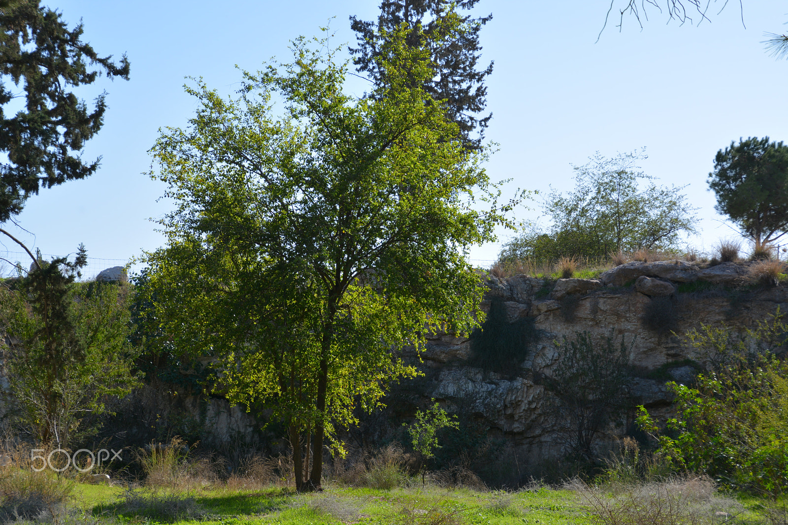 Nikon D7100 sample photo. Even haezer photography