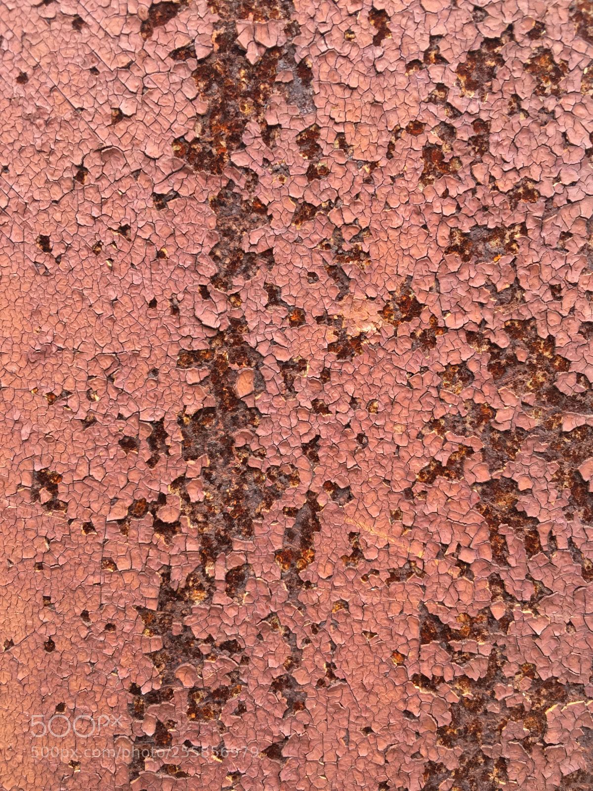 Apple iPhone 6s sample photo. Untitled photography