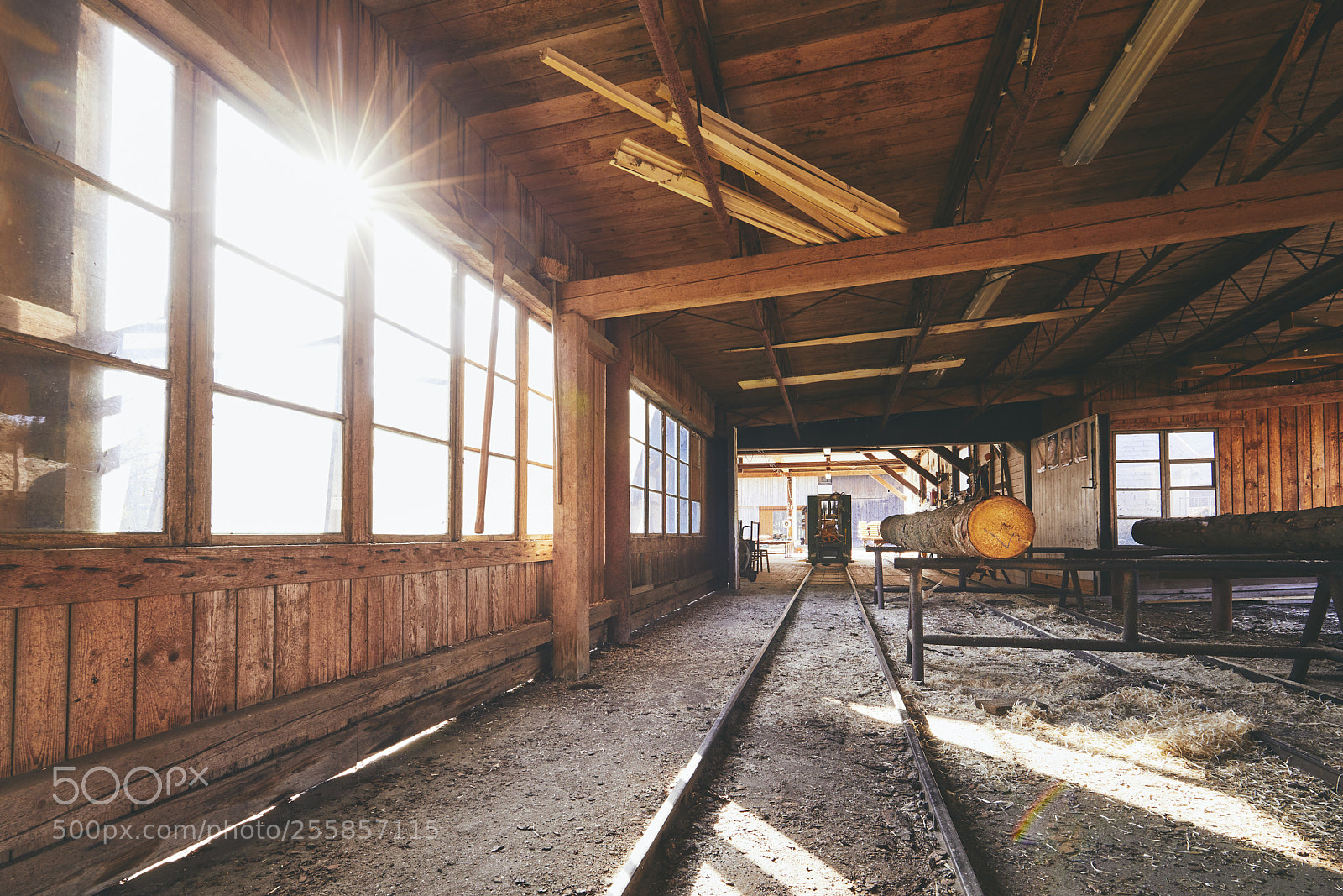 Canon EOS 5D Mark IV sample photo. Production at the sawmill photography