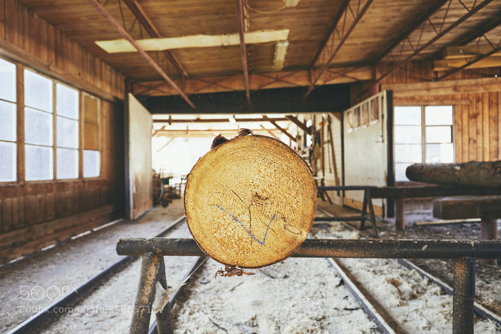 Canon EOS 5D Mark IV sample photo. Timber at the sawmill photography