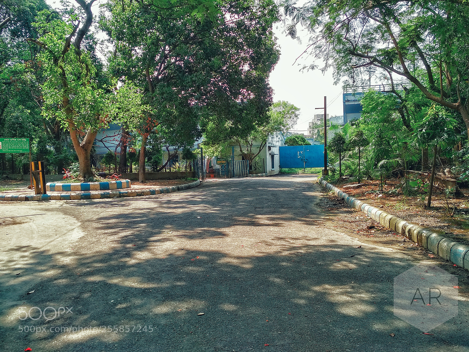 Xiaomi Redmi 4 Pro sample photo. Days of races and photography