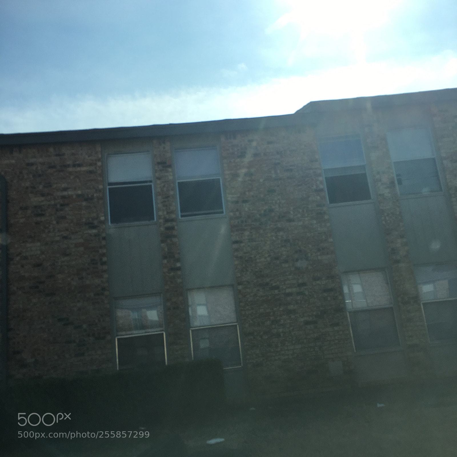 Apple iPhone 6s sample photo. Untitled photography